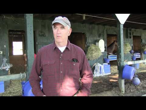 A Day in The Life of a Racehorse Featuring Nick Zito
