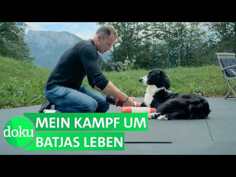 My seriously ill dog – a cure at any price? | WDR Documentary