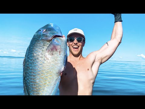Spearfishing & Fishing For Food Living From The Ocean (Turtle Rescue)