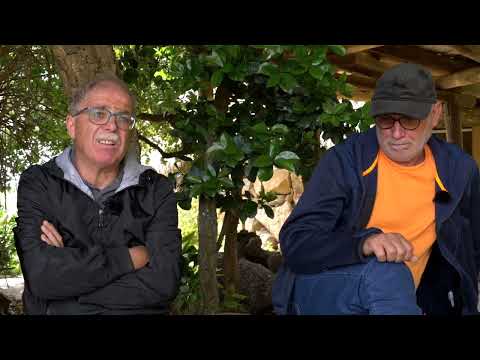 ITALIAN CC | Grains of change - Durum wheat adaptation in the Mediterranean region | Full Version