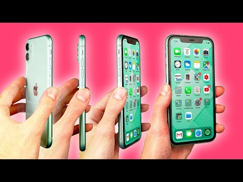 iPhone 11 Review - THE TRUTH | Two Weeks Later