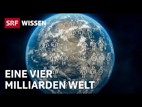 Was wäre, wenn wir nur noch 4 Milliarden Menschen wären? | Gedankenexperiment | SRF Wissen