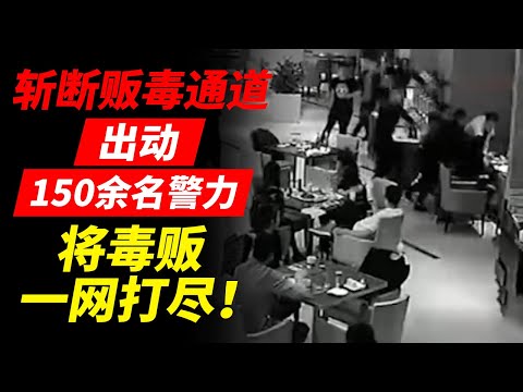 追击毒枭！出动150余名警力 贩毒网络被连根拨除！【国际禁毒日特别节目】