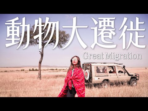 必看！肯亞『動物大遷徙』非洲五霸我竟然看到牠？最震撼的生命旅程 Great Migration｜環球之旅 Kenya
