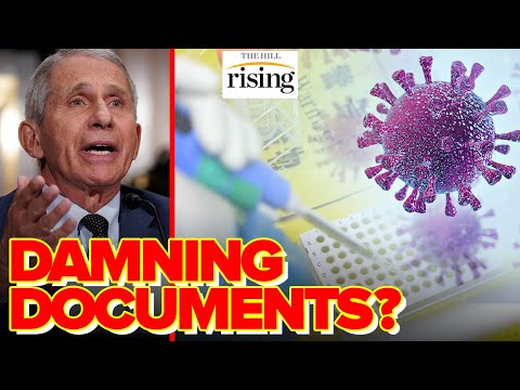 NEW Docs Provide Damning Evidence Dr. Fauci, NIH FUNDED Wuhan Covid Research With TAXPAYER Dollars