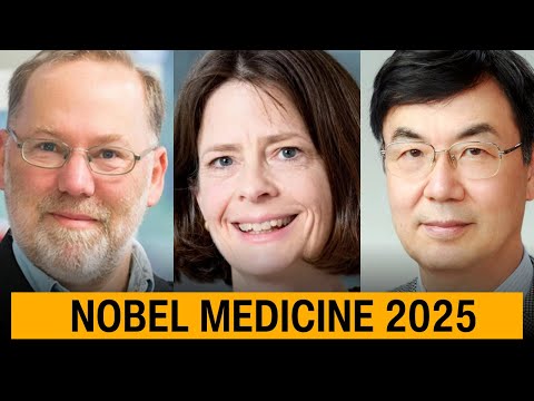 Why does our Immune System not attack the body?