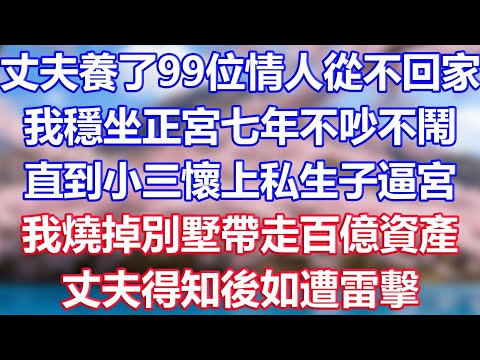 丈夫養了99位情人從不回家，我穩坐正宮七年不吵不鬧，直到小三懷上私生子逼宮，我燒掉別墅帶走百億資產，丈夫得知後如遭雷擊