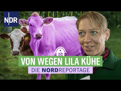 Tag des Offenen Hofes - Städter erobern die Ställe | Re-Upload Die Nordreportage 07.07.2014  | NDR