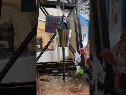 Bernoulli's Bucket | @CMofDenver #physics #science