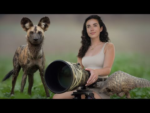 A Safari Like No Other: Exploring the Untouched Wilderness of Gorongosa, Mozambique