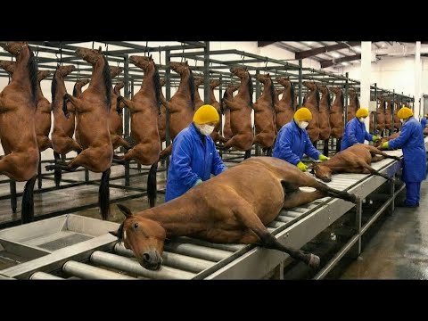 Inside the Horse Leather Factory | Million-Dollar Luxury Products Made from Horse Skin Full Process