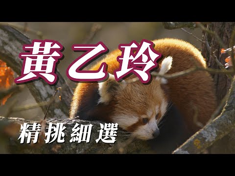 （黃乙玲）朋友敲黃乙玲。（分享了謝謝朋友)😝😝😝😝🤓🤓