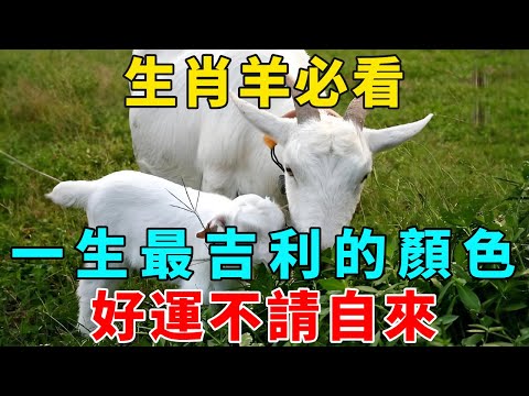 生肖羊必看！一生最吉利的颜色，最忌諱的顏色！属羊人穿對颜色，一生財運大開！大富大貴！【禅悟】#生肖 #運勢 #風水 #財運#命理