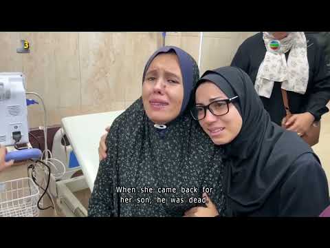 News at 7:30|14 Nov 2024|HONG KONG English Latest NEWS