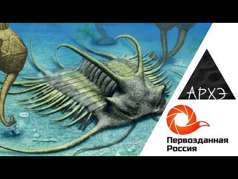 Ярослав Попов| "Кембрийский взрыв и окаменелости Сибири"