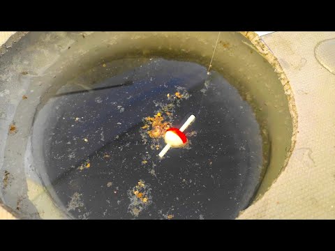 Winter ROCKERS MOW down the fish in the ZHOR!!!! Fishing for large bream