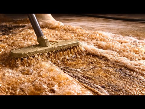 This Carpet Was Beyond Saving