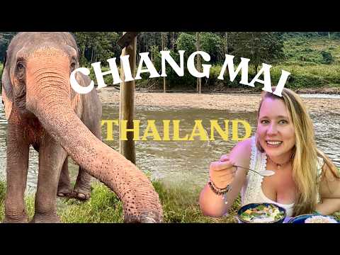 I Fell in Love in Chiang Mai, Thailand