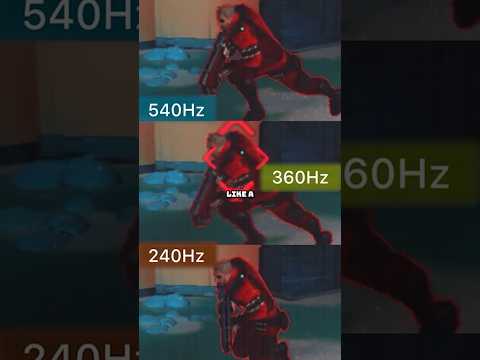 OMG. 540Hz Monitors are Actually Worth It