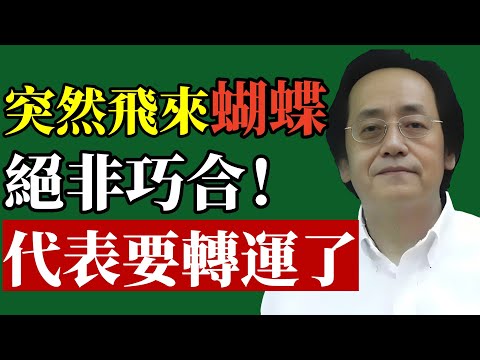 倪海廈：「蝶來有兆」，那是一場命運的暗示，別錯過你的轉機。#倪海廈 #風水 #財運 #易經 #改運 #轉運 #中醫 #身心靈 #能量 #吉兆