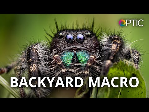 Chris McGinnis: Backyard Macro: Travel to a New World | #BHOPTIC