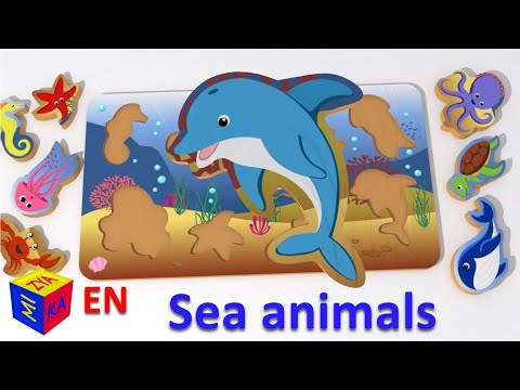 Learn sea animals. Cartoons matching games and toys for toddlers. Puzzle with sea creatures