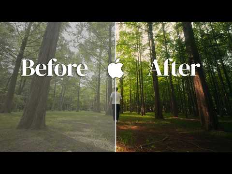 The Secret Sauce For Cinematic iPhone Videos + Free LUT!