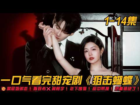 🥰禁忌姐弟恋❗️陈妍希❌周柯宇❗年下围猎❗甜中带撩❗娇羞感绝了❗一口气看完甜宠剧《狙击蝴蝶》1-14集#爱情剧 #情感剧 #甜宠剧 #周柯宇 #陈妍希