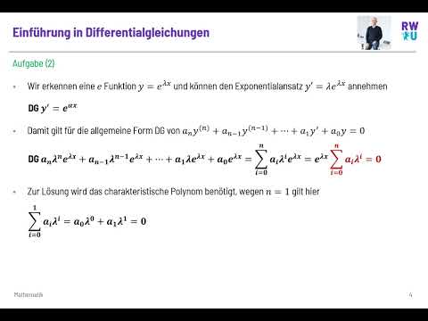 Einführung in Differentialgleichungen (für Einsteiger und Wiederholer)