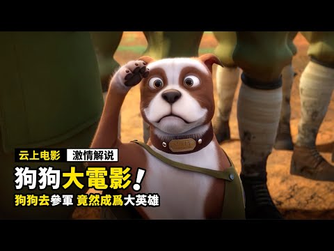 狗狗去參軍，竟然成爲大英雄，一口氣看完《6部萌寵大電影》！