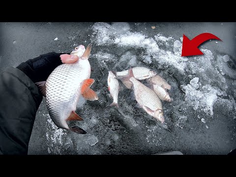 ЧП на рибалці !!! Лід ще є, тарань, лящ одна із Топових зимових рибалок!!!