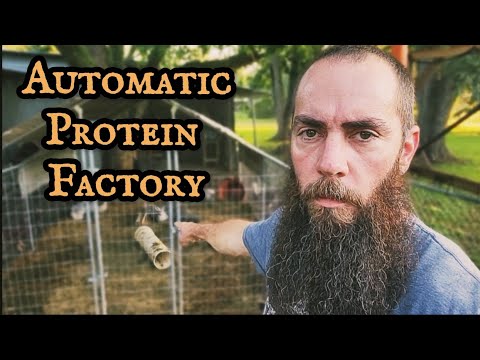 Rabbit Colony: "Hands-Free" Approach to Meat Production