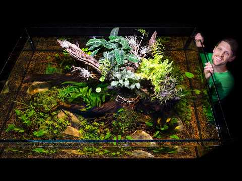 360° Giant No-Filter Guppy Ecosystem Pond Tank