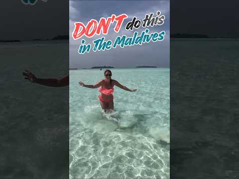You NEED to Know This About the Maldives 🤯🇲🇻