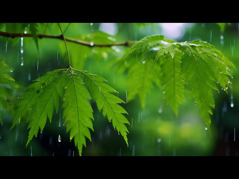 아침에 듣는 치유음악 🌞 긍정 에너지 충전, 집중력 향상, 마음 안정 힐링뮤직