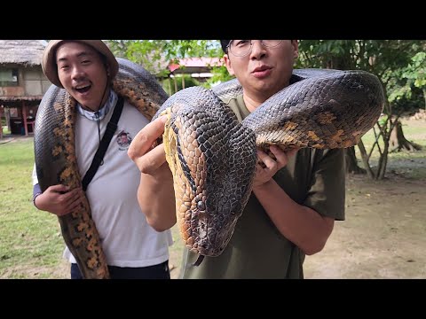 아마존2편- 전 세계에서 가장 큰 뱀인 거대 아나콘다를 만나다..죽을뻔 했네...