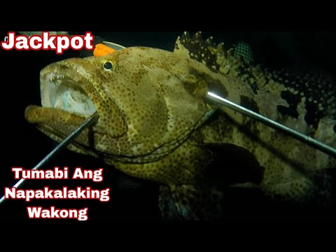 Jackpot Tumabi Napakalaking Wakong 😲😲😲