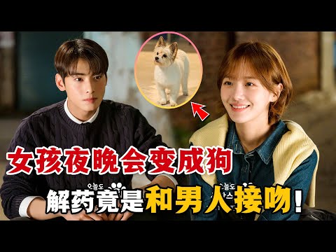 女孩一到夜晚就會變成狗狗，而唯一解藥竟是和心愛的男人接吻！更要命的是，心愛男人居然怕狗！一口氣看完奇幻愛情韓劇《今天也很可愛的狗》。 #韩剧解说 #车银优 #今天也很可愛的狗