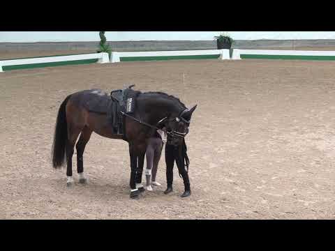 WM2025 Jun Lena Kür2