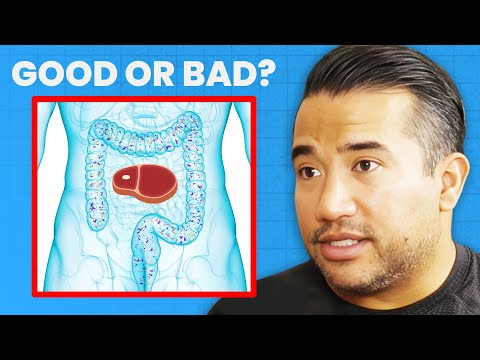 Is an All Meat Diet Good or Bad for Your Microbiome? | Kiran Krishnan