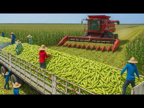 Frutas y Verduras 🤯 La Verdad que Nunca te Mostraron