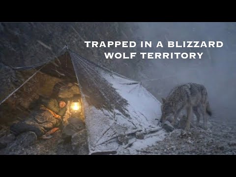 Trapped in a Deadly −12°C Blizzard | Alone Under a Rock Face in Wolf Territory