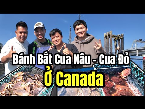 Một Ngày Làm Việc Trên Tàu Cua Canada - Nỗi Khổ Của Nghề Biển