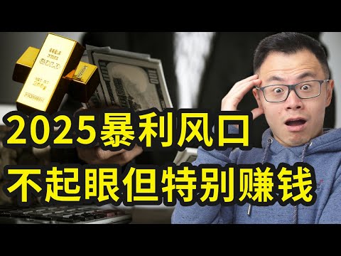 亲眼见到的真实案例，从负债到$$年入百万，普通人靠野路子翻身的海外创业真实案例，4个故事，4段人生，为你揭秘跨越阶层的创业机会和2025年的赚钱风口