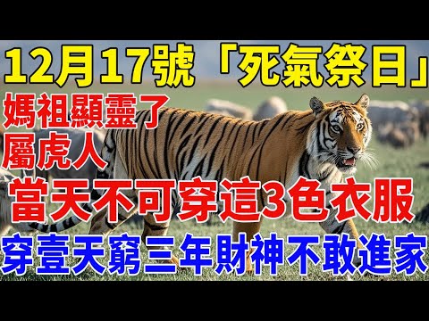 就在剛剛，媽祖顯靈了！12月17號，農曆十月二十八日，「死氣祭日」，屬虎人當天萬萬不可穿這3色衣服，只因財神最恨這三色，穿壹天窮三年，財神不敢進妳家門！【佛緣生肖】#生肖 #命理 #運勢 #屬相