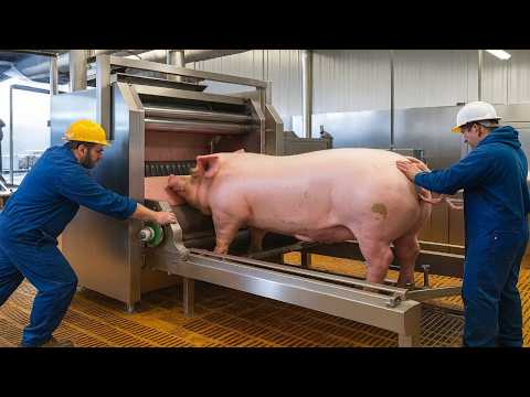 HOW SALAMI IS PRODUCED THAT MOVES BILLIONS A YEAR 🍖 Mega Factories