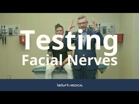 How to Perform a Cranial Nerve Exam – Quick & Easy Guide! 🧑‍⚕️👅