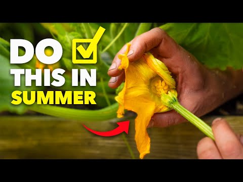 The Lazy Gardener’s Summer Checklist: Do These 10 Things NOW