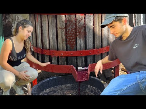 Family Harvest: A Tradition That Brings Generations Together