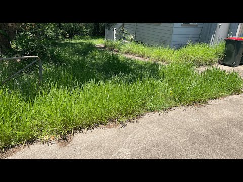 REVISITING the SOLDIER'S Yard… this time we went ALL IN!